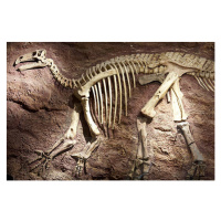 Ilustrace Dinosaur skeleton on Isle of Wight, England, Andrew Holt, 40 × 26.7 cm