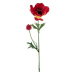 Sasanka MINA řezaná umělá s 1květem a poupětem červená 63cm