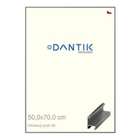 DANTIK rámeček 50 × 70, ALU profil 6030 Ocelový plexi čiré