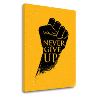 Motivační obraz na zeď Never give up