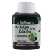 MEDPHARMA Ginkgo biloba+Guarana 67 tablet