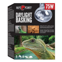 Žárovka Repti Planet Daylight Basking Spot 75W