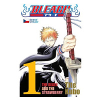 Bleach 1