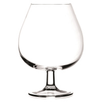 2-dílná sada sklenic na brandy Masterpro Barware / 670 ml / transparentní