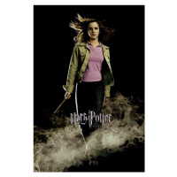 Umělecký tisk Harry Potter - Hermione Granger, (26.7 x 40 cm)