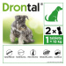 Drontal Dog Flavour 150/144/50 mg 24 tablet