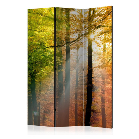 Paraván Forest Colours Dekorhome 225x172 cm (5-dílný) Artgeist