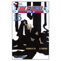 Bleach 15