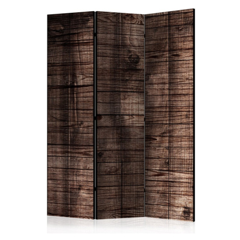 Paraván Dark Brown Boards Dekorhome 225x172 cm (5-dílný) Artgeist