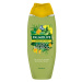 Palmolive Forest Edition Lucky Bamboo sprchový gel 500 ml