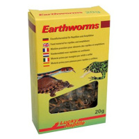 Lucky Reptile Earthworms 10 g