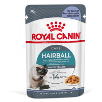 Royal Canin FCN Hairball Care v želé - výhodné balení: 2 x 12 ks (24 x 85 g)