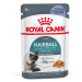 Royal Canin FCN Hairball Care v želé - výhodné balení: 2 x 12 ks (24 x 85 g)