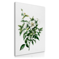 Obraz na plátně WHITE FLOWERS III. různé rozměry Ludesign ludesign obrazy: 70x50 cm