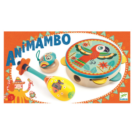 Djeco Set hudebních nástrojů