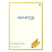 DANTIK rámeček 21 × 29,7, ALU profil 6030 Dýha barevný žlutý citrus sklo čiré