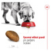 Royal Canin Maxi Adult 15kg