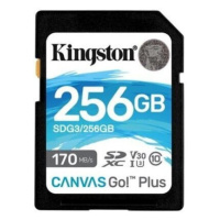 Kingston SDXC Class 10 256GB SDG3/256GB