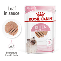ROYAL CANIN KITTEN kapsička pěna pro koťata 12 × 85 g