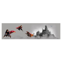 Samolepicí bordura Harry Potter Famfrpál, 500 x 9,7 cm