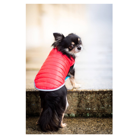 Vsepropejska Sonda oboustranná bunda pro psa Barva: Červená, Délka zad (cm): 25, Obvod hrudníku: