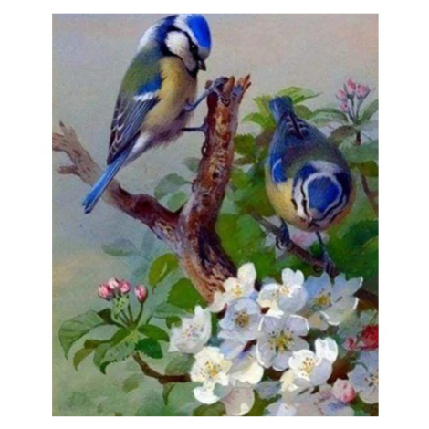 Figured ART Diamantové malování - PTÁCI NA VĚTVI bez rámu 40 x 50 cm