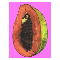 Obrazová reprodukce Papaya,2008, Thompson-Engels, Sarah, 30 × 40 cm