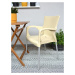 ArtRoja Zahradní židle ANA | béžová