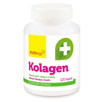 Wolfberry Kolagen 120 kapslí