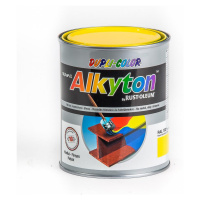 Alkyton RAL1021 lesk 750ml