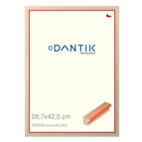 DANTIK rámeček 29,7 × 42, CARINA červený plexi čiré