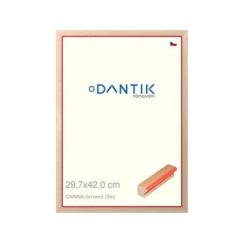 DANTIK rámeček 29,7 × 42, CARINA červený plexi čiré