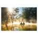 Fotografie Everglades ya National Park - canoeing in mist, Douglas Rissing, 40 × 26.7 cm