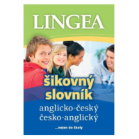 Anglicko-český, česko-anglický šikovný slovník …nejen do školy