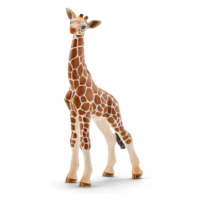 Zvířátko - žirafa mládě