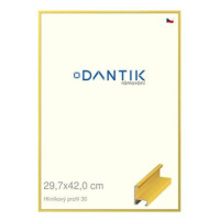 DANTIK rámeček 29,7 × 42, ALU profil 6030 Dýha barevný žlutý citrus plexi čiré