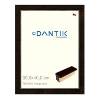 DANTIK rámeček 30 × 40, TECHNO wenge plexi čiré