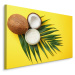 MyBestHome BOX Plátno Listové A Kokosové Ovoce Na Žlutém Podkladu Varianta: 40x30