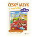 Český jazyk v malíčku pro 4. třídu - Lucie Vélová