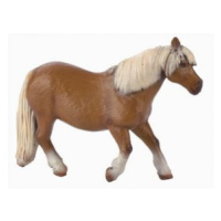 Pony Shetlandský