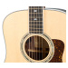 Taylor Legacy 810e