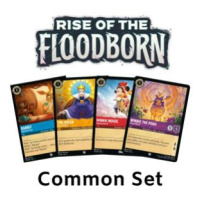 Lorcana: Rise of the Floodborn: Common Set