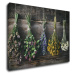Impresi Obraz Suché květiny - 70 x 50 cm