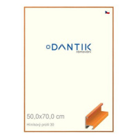 DANTIK rámeček 50 × 70, ALU profil 6030 Dýha barevný oranžový plexi čiré