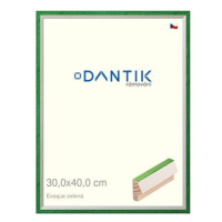 DANTIK rámeček 30 × 40, EVOQUE zelený plexi čiré