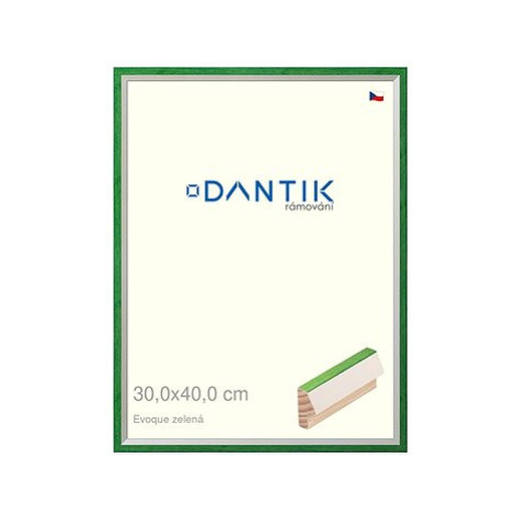 DANTIK rámeček 30 × 40, EVOQUE zelený plexi čiré