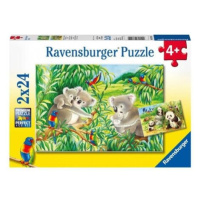 Ravensburger Puzzle 2x24 dílků Roztomilé koaly a pandy