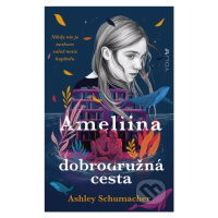 Ameliina dobrodružná cesta (Nikdy nie je neskoro začať novú kapitolu) - kniha z kategorie Beletr