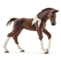 Zvířátka Schleich - hříbě koně trakehnerského