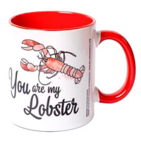 Friends - You are my Lobster - hrnek